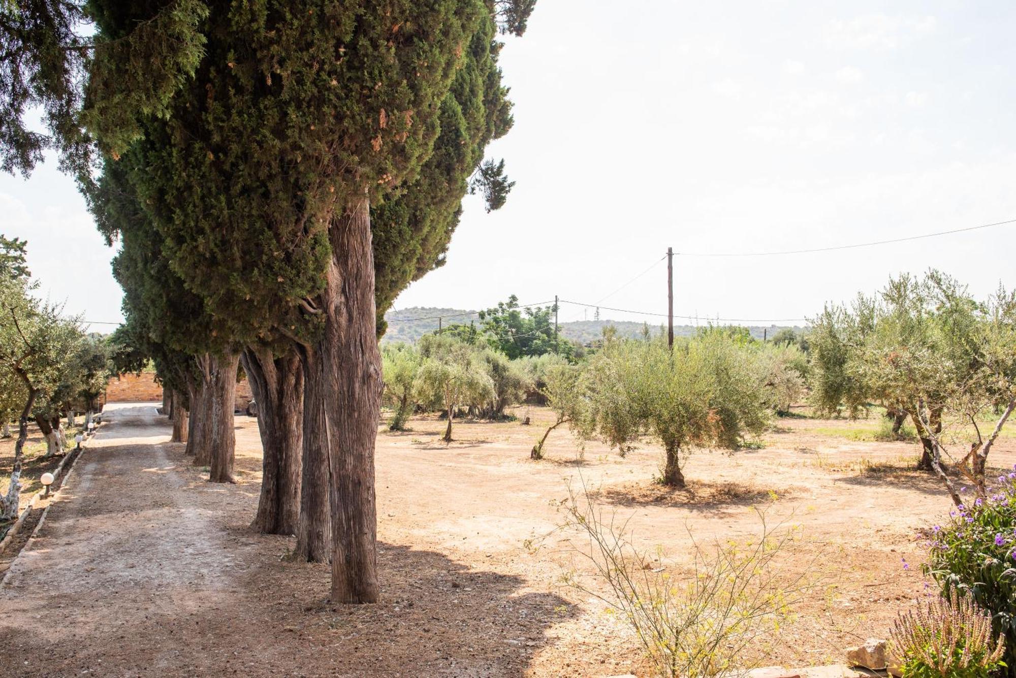 Calvocoressi Estate Chios Town Luaran gambar