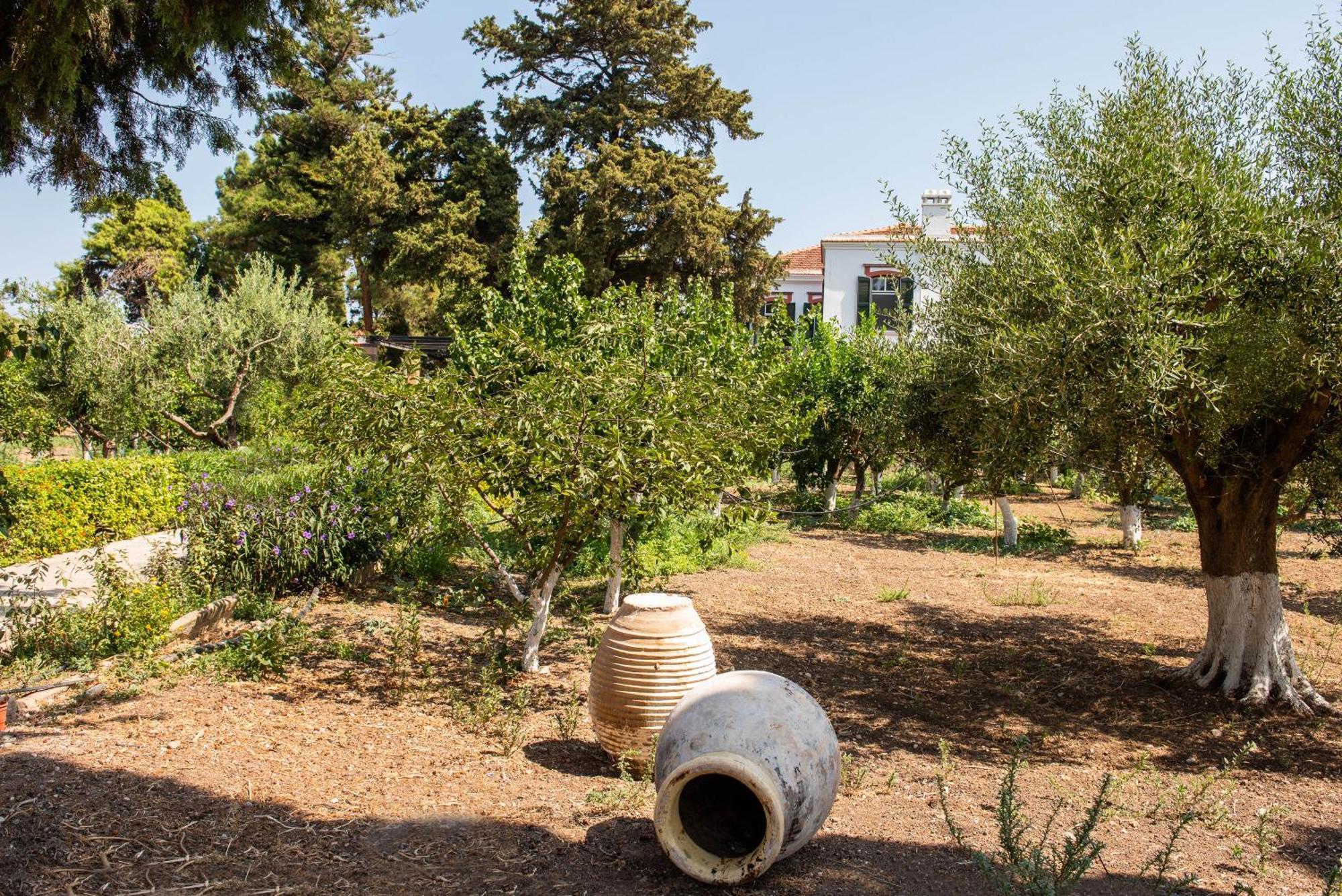 Calvocoressi Estate Chios Town Luaran gambar