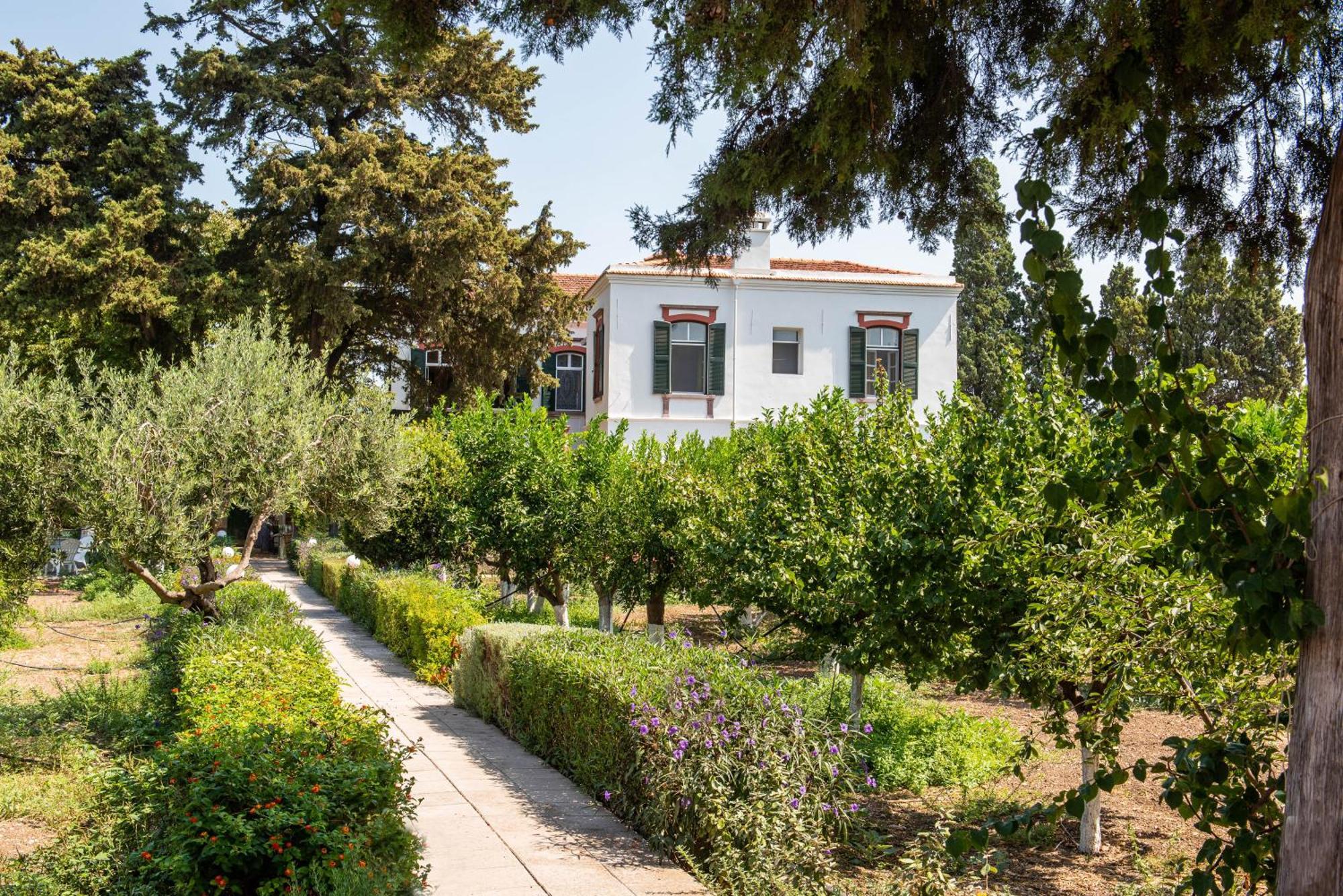 Calvocoressi Estate Chios Town Luaran gambar