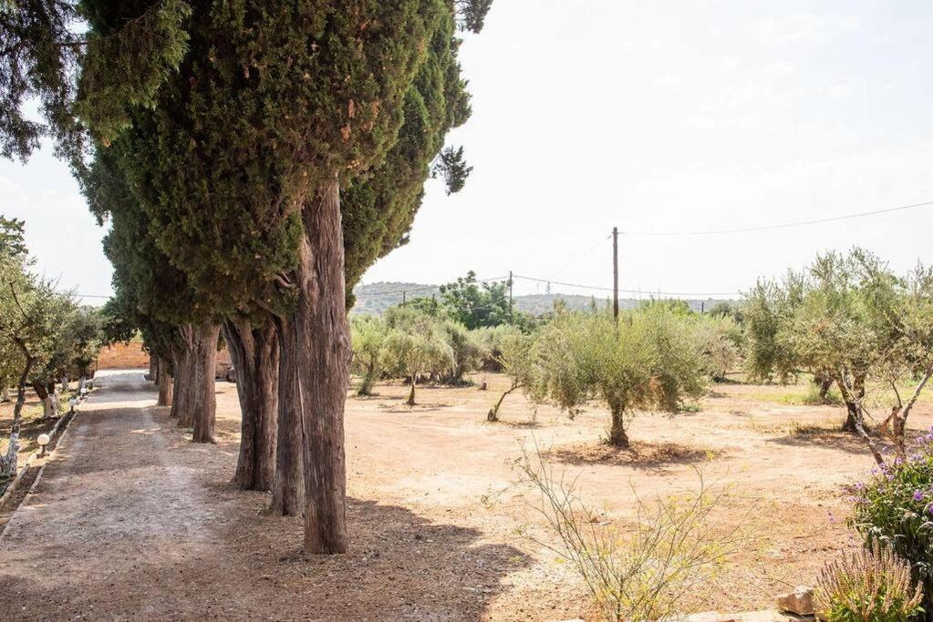 Calvocoressi Estate Chios Town Luaran gambar
