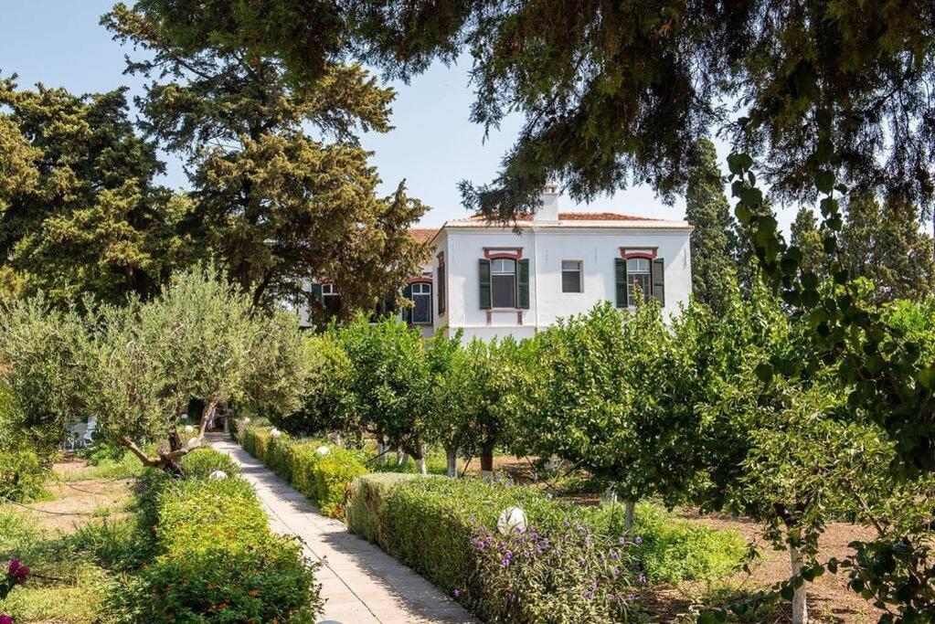 Calvocoressi Estate Chios Town Luaran gambar